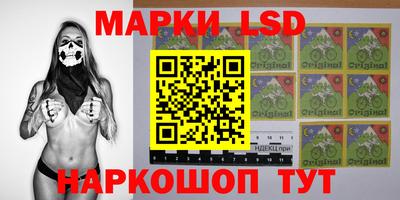 стафф Кандалакша