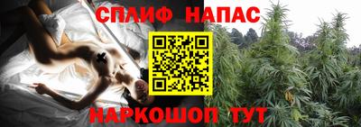 стафф Кандалакша