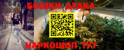 стафф Кандалакша